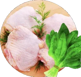 Spinach & Chicken